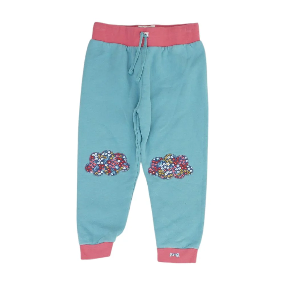 Blue Solid Joggers Pants
