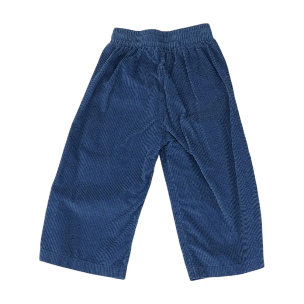 Blue Solid Pants